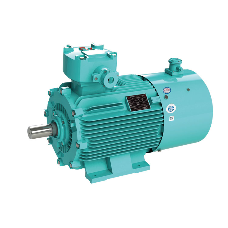 YBBP Series Flameproof Frequency Converter 3-Phase Induction Motors