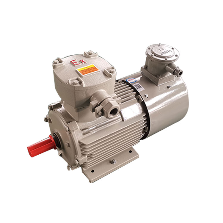 YBBP-132 Series Flameproof Frequency Converter 3-Phase Induction Motors