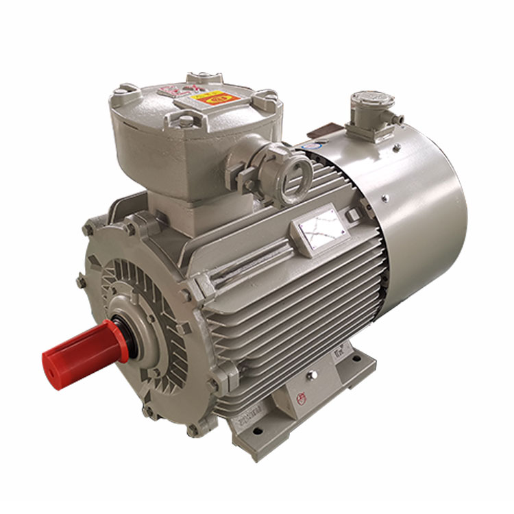 YBBP-280 Series Flameproof Frequency Converter 3-Phase Induction Motors