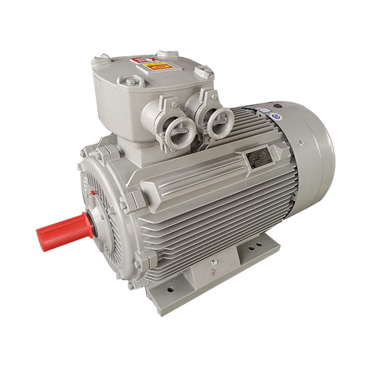 YBX3-315 Series High Efficiency Flameproof 3-Phase Induction Motors